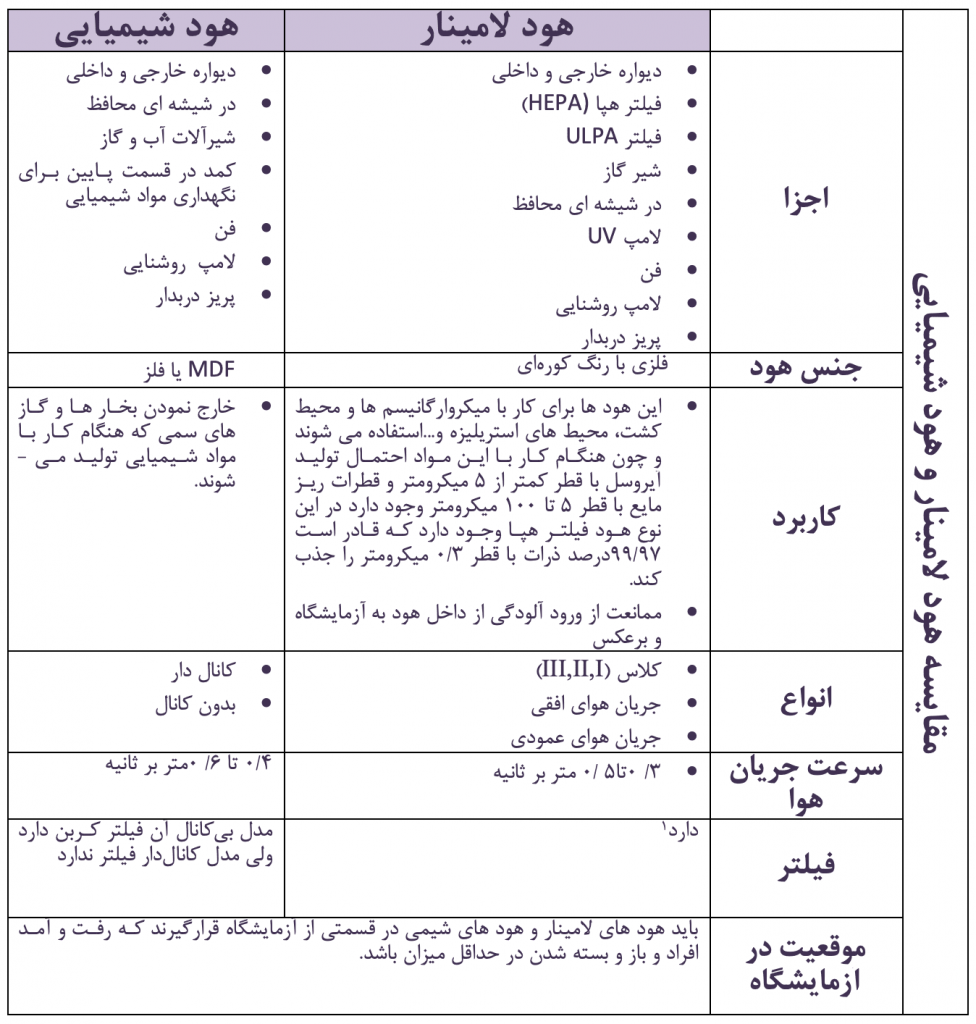 لامینا ترمینالیس