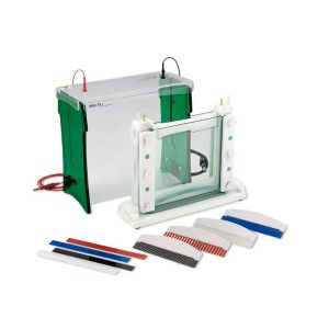 الکتروفورز عمودی