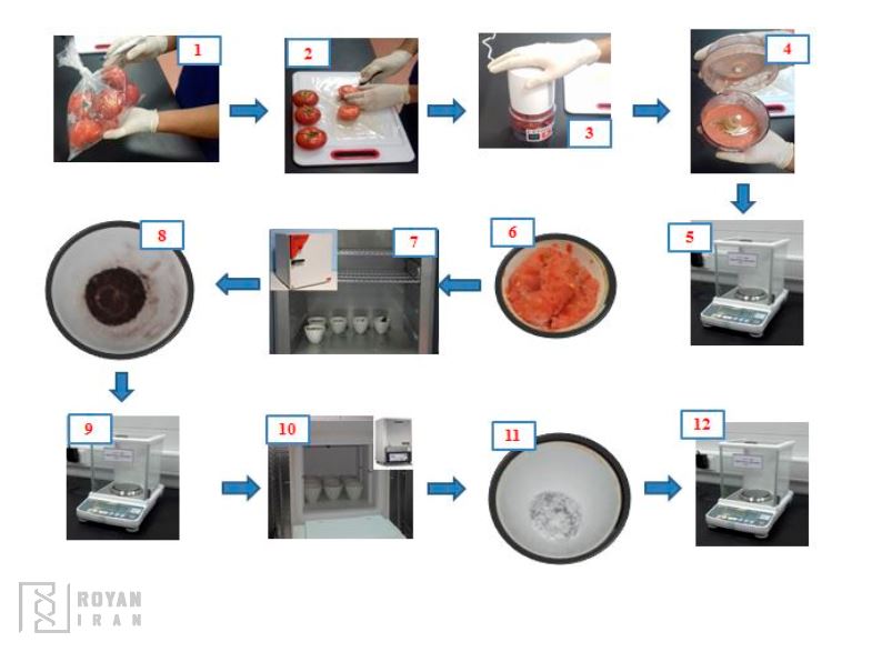 مراحل اندازه گیری خاکستر نمونه گوجه فرنگی