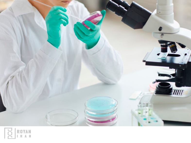 آزمایش های میکروبی آجیل و خشکبار