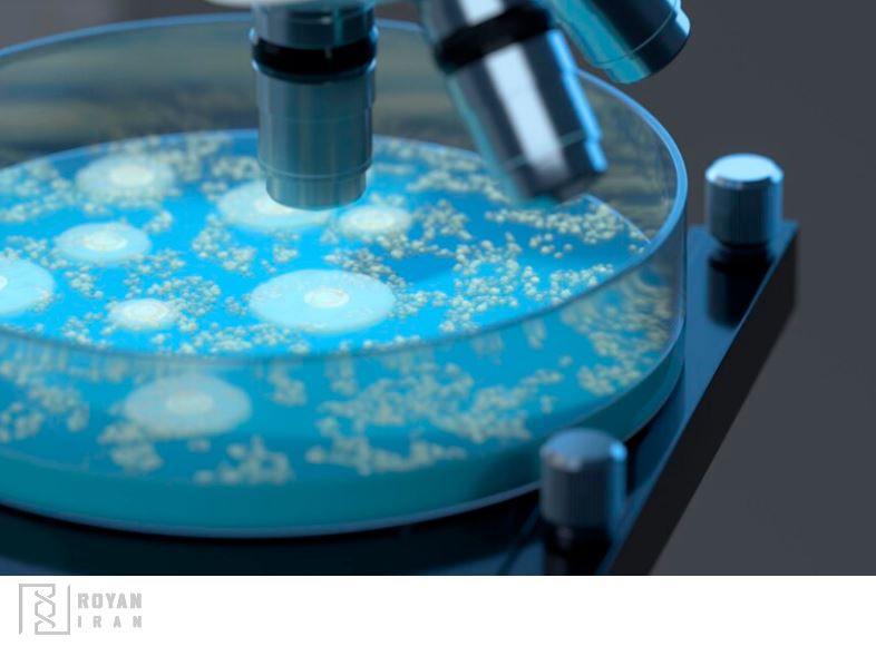 محیط کشت میکروبی