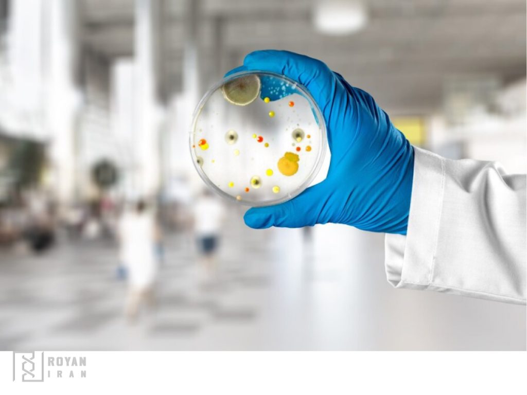 کشت میکروارگانیسم ها