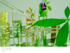 تکنیک های عصاره گیری از گیاهان دارویی در آزمایشگاه