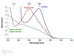 تعیین غلظت DNA و RNA با اسپکتروفتومتری